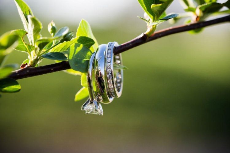 Three wedding rings hanging on a branch at PineCrest